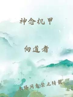 神念机甲