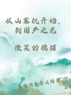 从山寨机开始，到国产之光