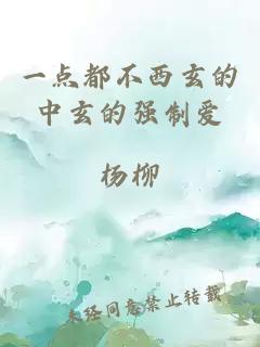 一点都不西玄的中玄的强制爱